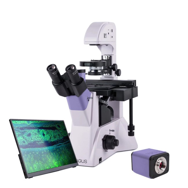 Микроскоп биологический инвертированный цифровой MAGUS Bio VD350 LCD