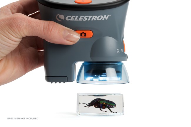 Портативный цифровой микроскоп Celestron с LCD-экраном Портативный цифровой микроскоп Celestron с LCD-экраном