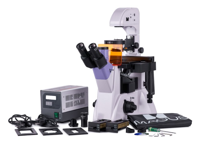 Микроскоп люминесцентный инвертированный цифровой MAGUS Lum VD500 LCD Микроскоп люминесцентный инвертированный цифровой MAGUS Lum VD500 LCD