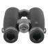 Бинокль Veber Silver Line II 8x50WP