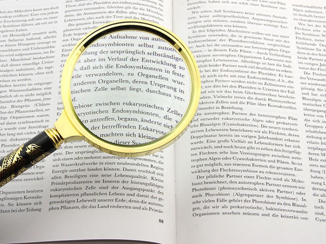 Лупа Veber L90 (диам. 90мм, 5х, сувенирная) Лупа Veber L90 (диам. 90мм, 5х, сувенирная)