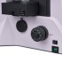 Микроскоп люминесцентный инвертированный цифровой MAGUS Lum VD500L LCD Микроскоп люминесцентный инвертированный цифровой MAGUS Lum VD500L LCD