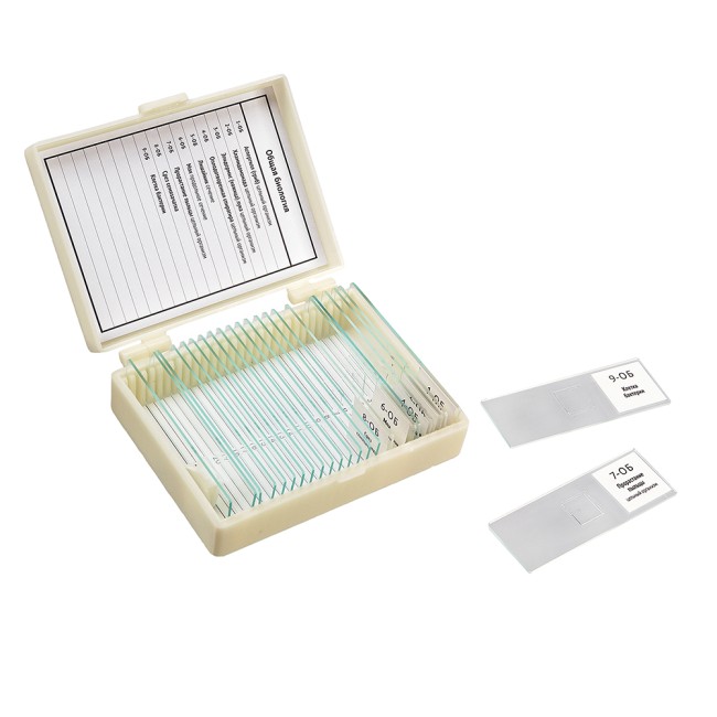 Набор препаратов Микромед "Общая биология" (9 обр. для школы) Набор препаратов Микромед "Общая биология" (9 обр. для школы)