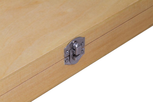 Набор микропрепаратов Bresser 100 шт., в кейсе Набор микропрепаратов Bresser 100 шт., в кейсе