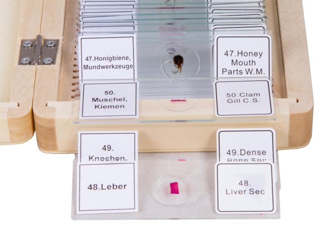 Набор микропрепаратов Bresser 50 шт., в кейсе