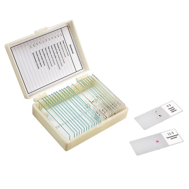 Набор препаратов Микромед "Зоология" (11 обр. для школы) Набор препаратов Микромед "Зоология" (11 обр. для школы)