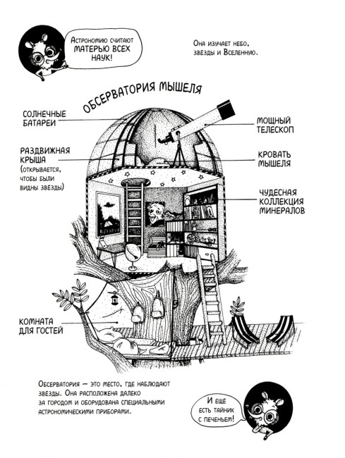 Под звёздным небом: учимся наблюдать планеты и искать созвездия Под звёздным небом: учимся наблюдать планеты и искать созвездия