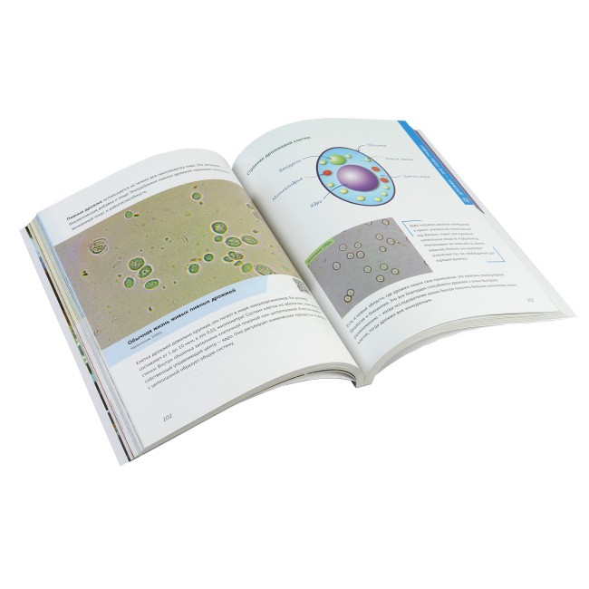 Главная книга юного биолога