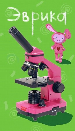 Микроскоп школьный Микромед Эврика 40х-400х в кейсе (фуксия) Микроскоп школьный Микромед Эврика 40х-400х в кейсе (фуксия)