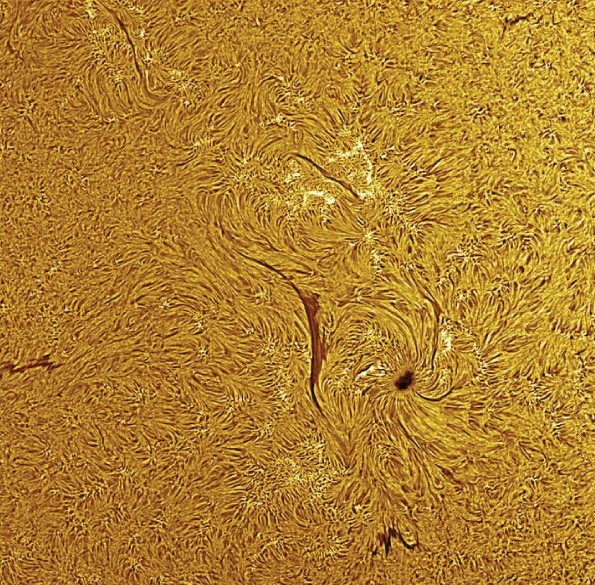 Лунно-планетная (гидирующая) камера Meade LPI-GC (цветная)