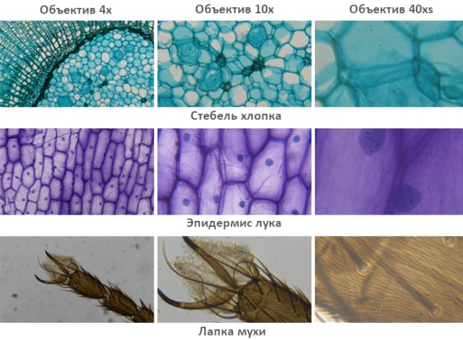 Микроскоп школьный SVBONY SV601 40-1600x