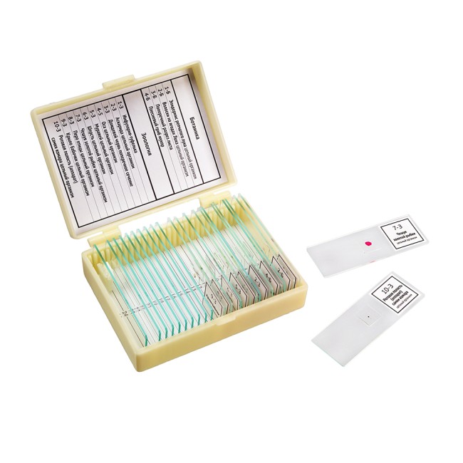 Набор препаратов Микромед "Ботаника и зоология" (14 обр.) Набор препаратов Микромед "Ботаника и зоология" (14 обр.)