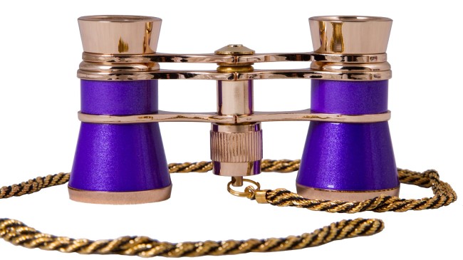Театральный бинокль с цепочкой Levenhuk Broadway 325C Amethys Театральный бинокль с цепочкой Levenhuk Broadway 325C Amethys