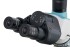 Микроскоп Levenhuk 500T, тринокулярный Микроскоп Levenhuk 500T, тринокулярный
