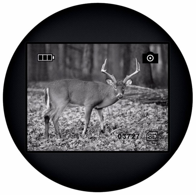 Монокуляр ночного видения Levenhuk Atom Digital DNM100 Монокуляр ночного видения Levenhuk Atom Digital DNM100