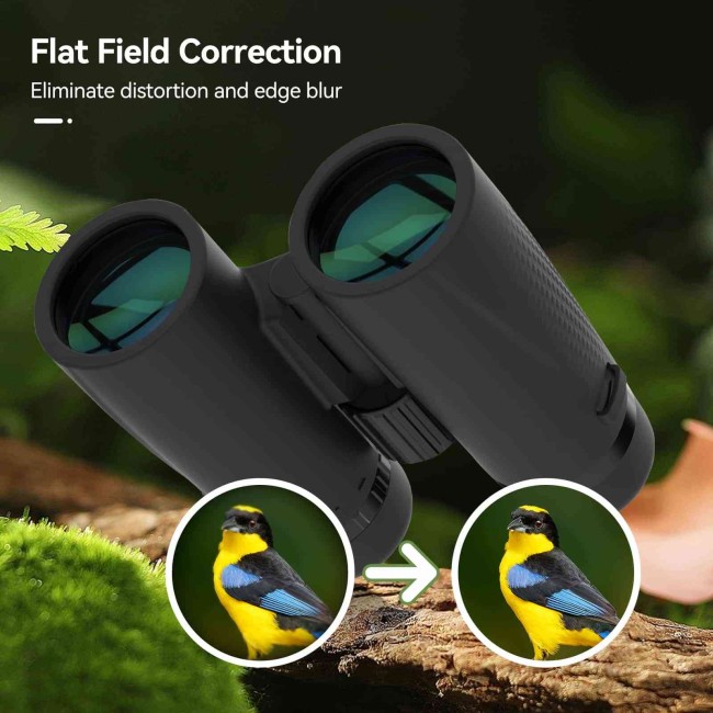 Бинокль SVBONY 8x42 ED Flat Field (SA205) Бинокль SVBONY 8x42 ED Flat Field (SA205)