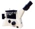 Микроскоп инвертированный металлографический Levenhuk IMM1000 Микроскоп инвертированный металлографический Levenhuk IMM1000
