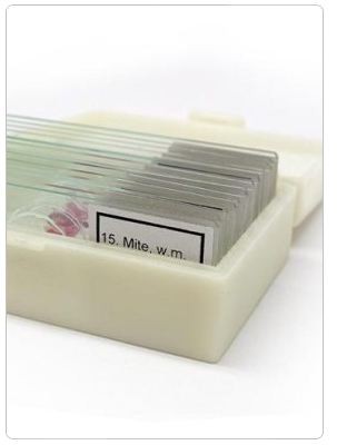 Набор микропрепаратов Альтами "Ткани человека" (15 стекол)