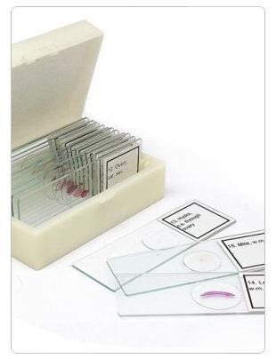 Набор микропрепаратов Альтами "Водные обитатели" (15 стекол)