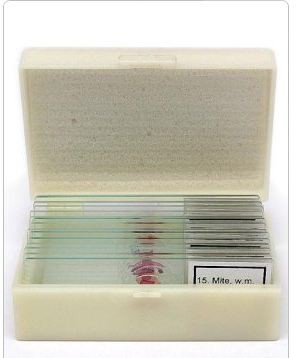 Набор микропрепаратов Альтами "Водные обитатели" (15 стекол)