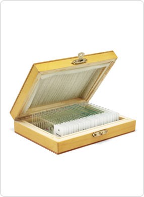 Набор микропрепаратов Альтами "Микромир-25" (25 стекол)