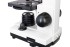 Микроскоп Levenhuk Rainbow 2L Moonstone\Лунный камень Микроскоп Levenhuk Rainbow 2L Moonstone\Лунный камень