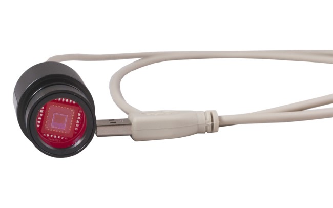 Микроскоп Levenhuk Rainbow D2L, 0,3 Мпикс, Moonstone\Лунный камень Микроскоп Levenhuk Rainbow D2L, 0,3 Мпикс, Moonstone\Лунный камень