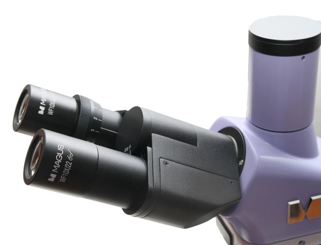 Микроскоп биологический MAGUS Bio 250T