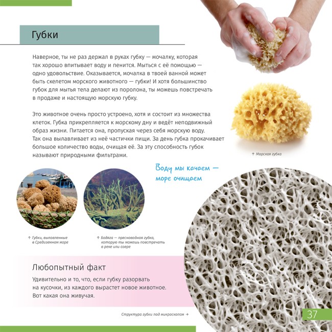 Книга знаний в 2 томах. Космос. Микромир. Книга знаний в 2 томах. Космос. Микромир.