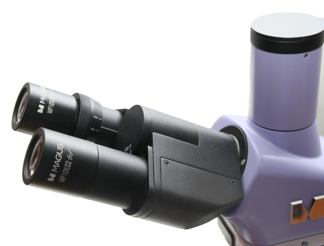 Микроскоп биологический MAGUS Bio 250TL