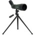 Зрительная труба Celestron LandScout 60