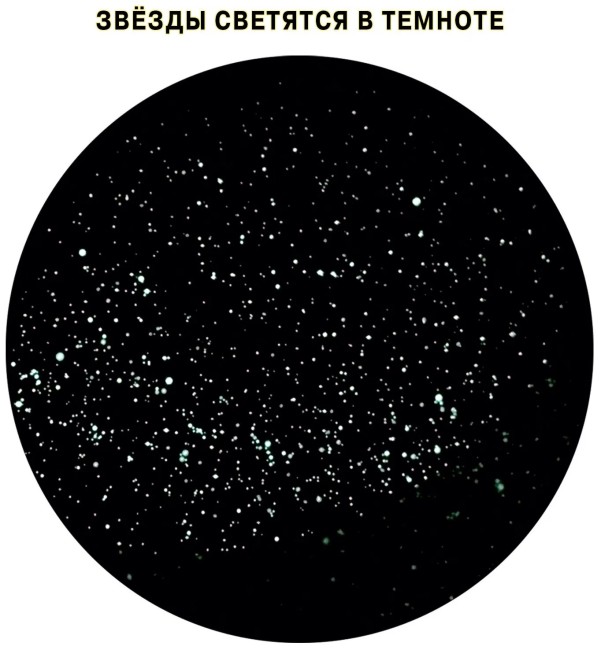 Подвижная карта звёздного неба "Планисфера" (светящаяся в темноте)