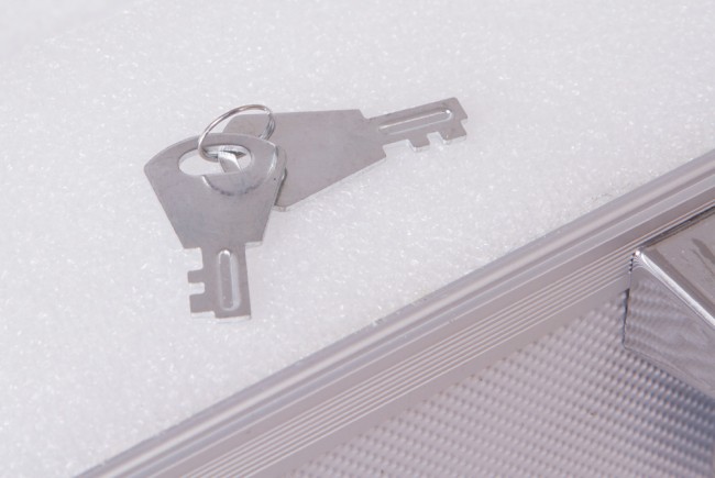 Кейс алюминиевый Sky-Watcher для монтировки EQ6