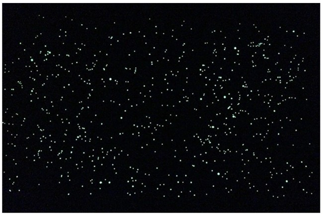 Карта звёздного неба (светящаяся в темноте, тубус) Карта звёздного неба (светящаяся в темноте, тубус)