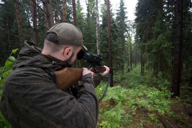 Цифровой прицел Pulsar Digisight Ultra N355 без крепления