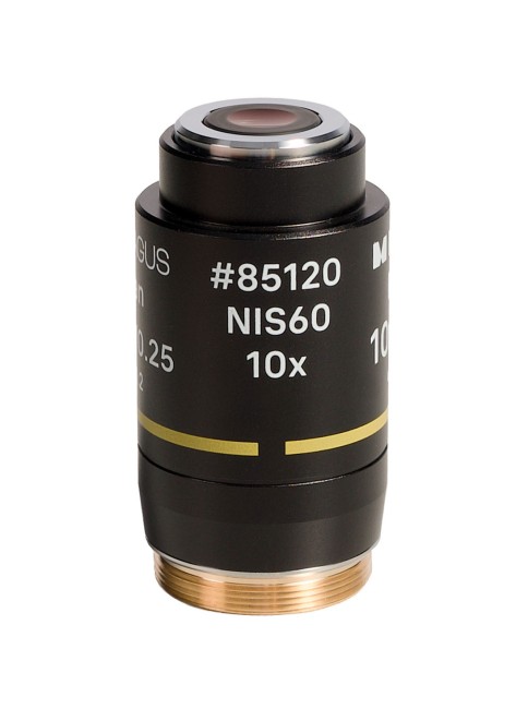 Объектив MAGUS 10PL60V Plan 10х/0,25∞/1,2 H60 мм