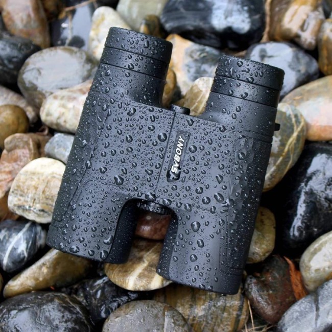 Бинокль SVBONY 10x42 (SV30) Бинокль SVBONY 10x42 (SV30)