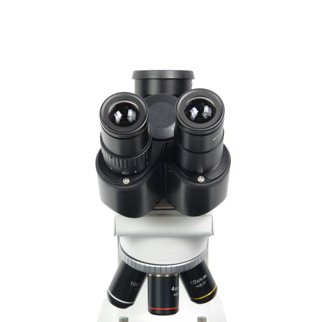 Микроскоп биологический Микромед 1 (3-20 inf.) Микроскоп биологический Микромед 1 (3-20 inf.)