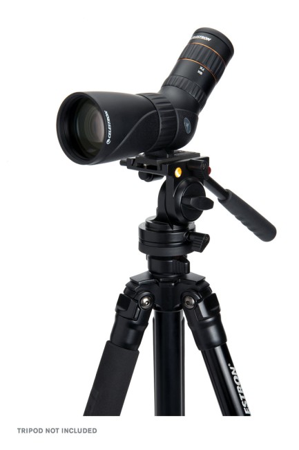 Зрительная труба Celestron Hummingbird 56 ED Зрительная труба Celestron Hummingbird 56 ED