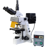 Флуоресцентные